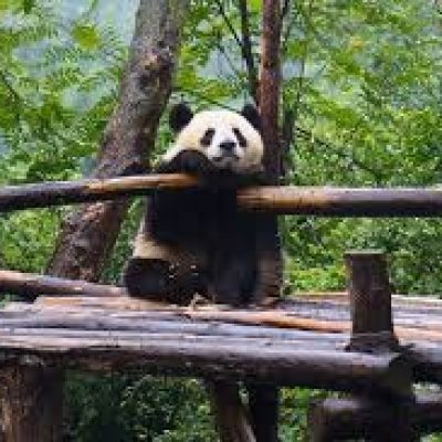 Chengdu