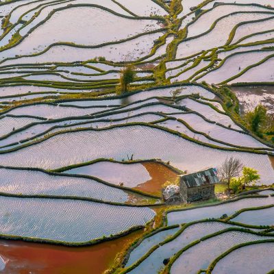 Yunnan