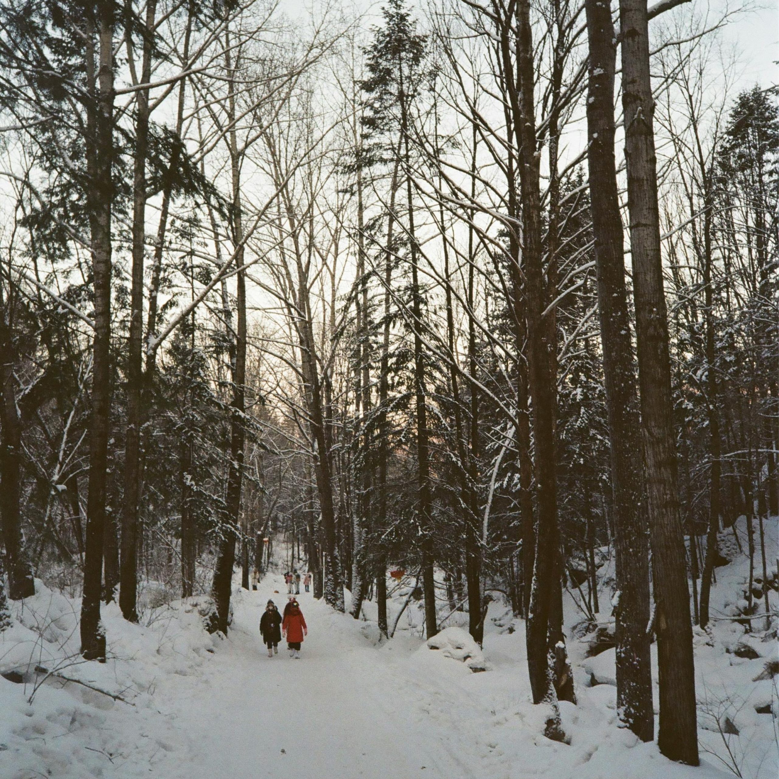 HeritEdgeRoad